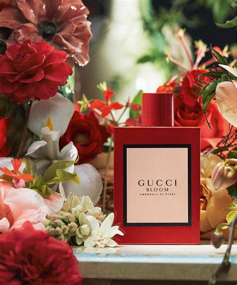 gucci bloom review perfume|Gucci Bloom ambrosia perfume review.